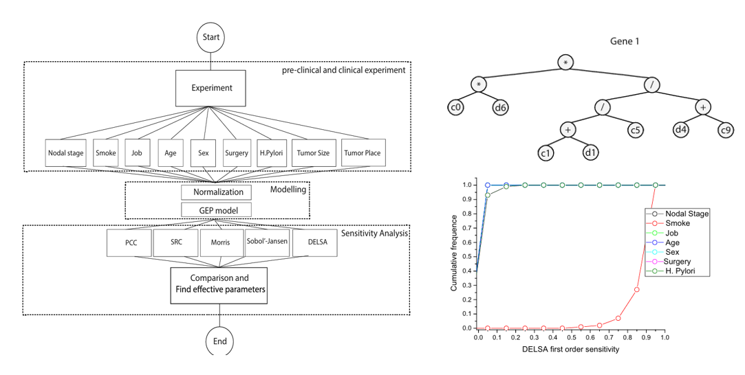 Gene expression programming and sensitivity analysis workflow for gastric cancer