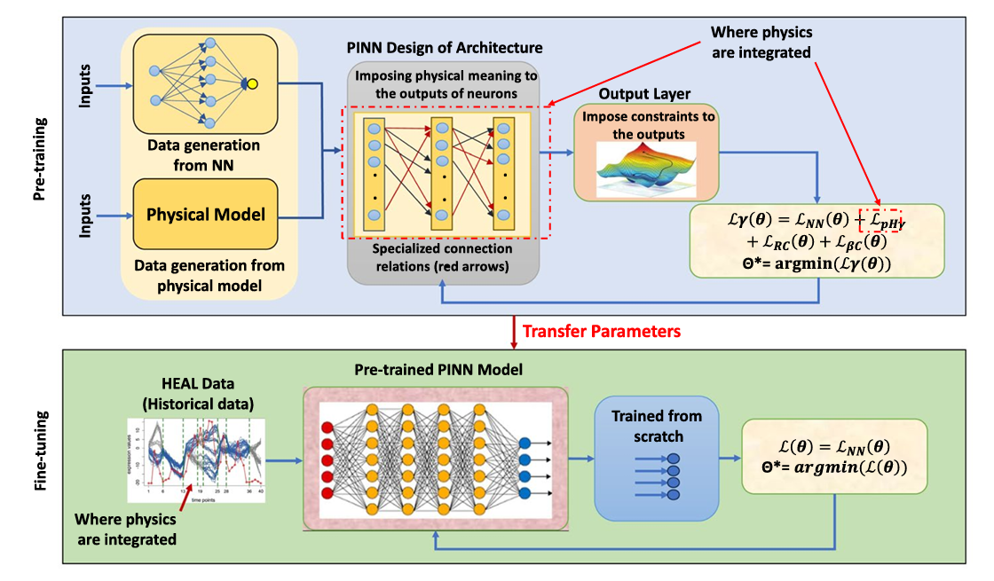 Physics-informed neural network architecture for computational medical imaging