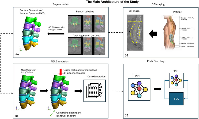 Lumbar spine segmentation, finite element simulation, and physics-informed neural network architecture